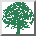 (Tree)